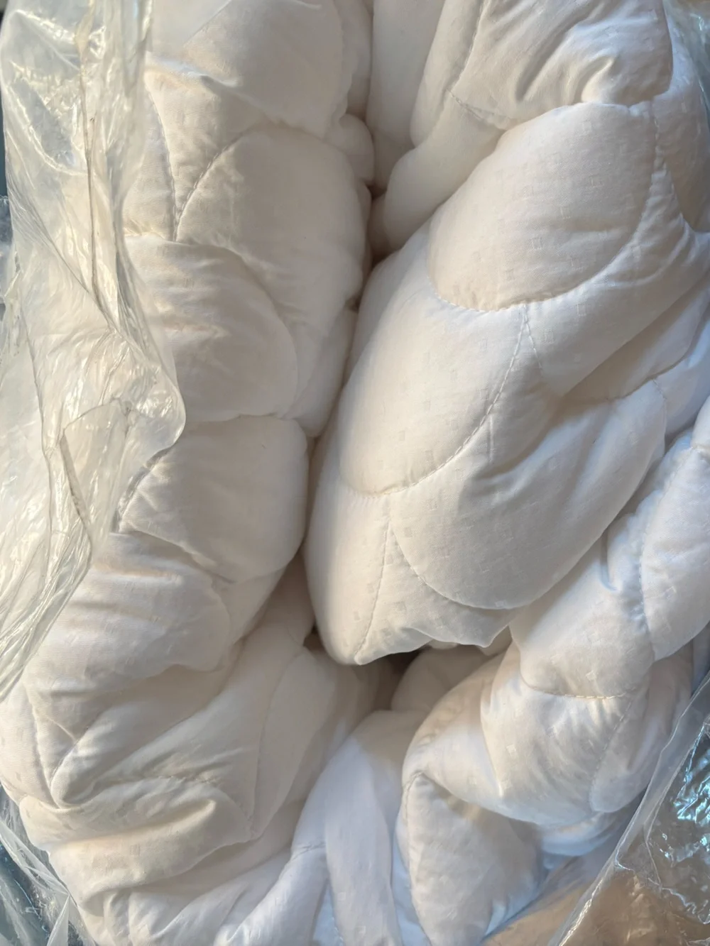 Blue Ridge Cotton Damask Dot Cal King Mattress Pad 350 Thread Count